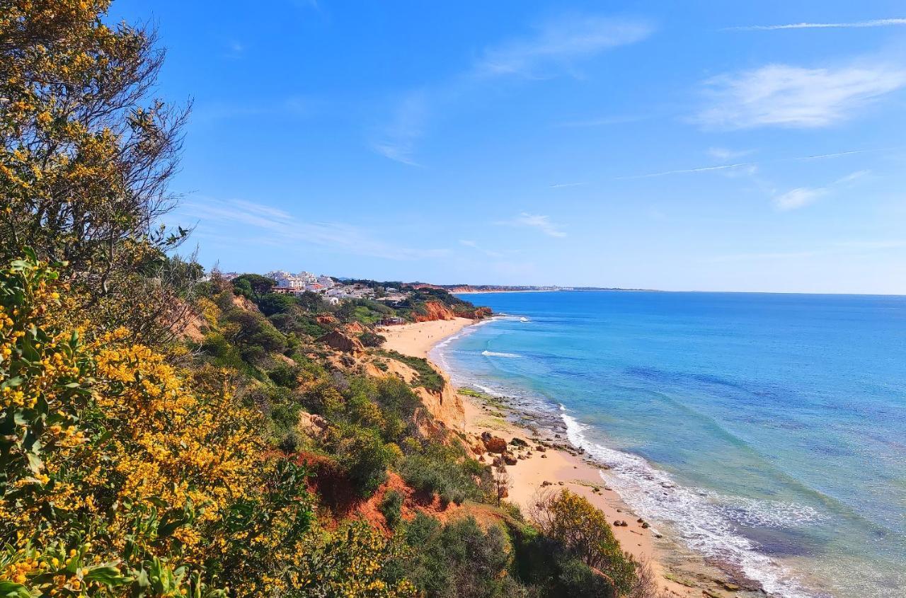 Luxury Apartment Ocean View By Be Cherish Albufeira Exteriör bild